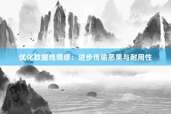 优化数据线绸缪：进步传输恶果与耐用性